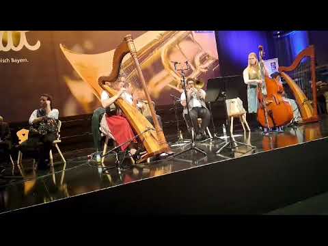 Zeitlang Musi - Des wird scho