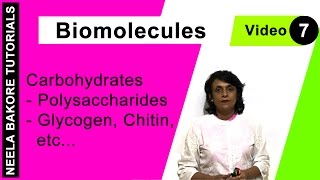 Biomolecules | NEET | Carbohydrates - Polysaccharides - Glycogen, Chitin, etc. | Neela Bakore