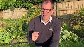 Preview of How to water your pots..