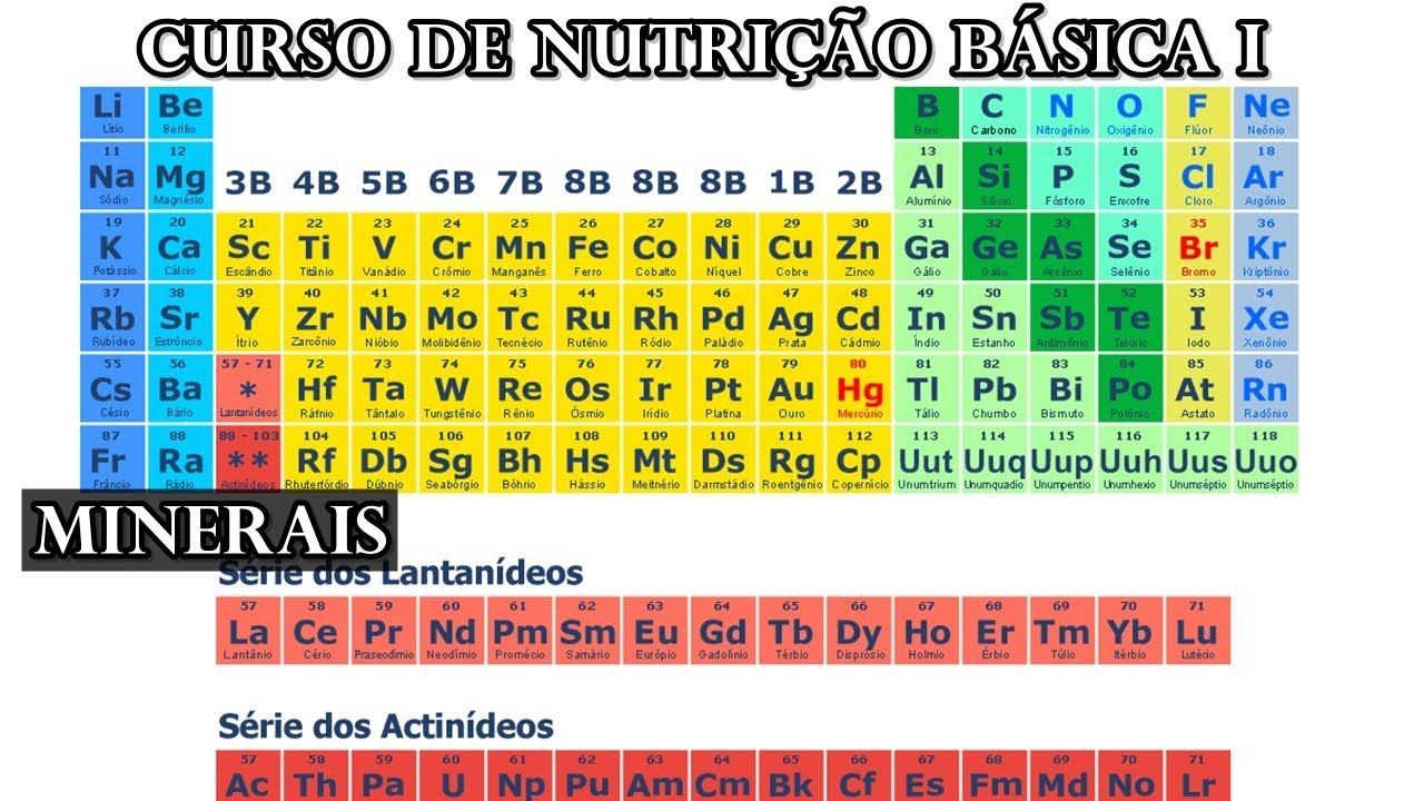 MICRONUTRIENTES - MINERAIS