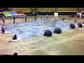 SP Arnett Winterguard 2014 Shine Together