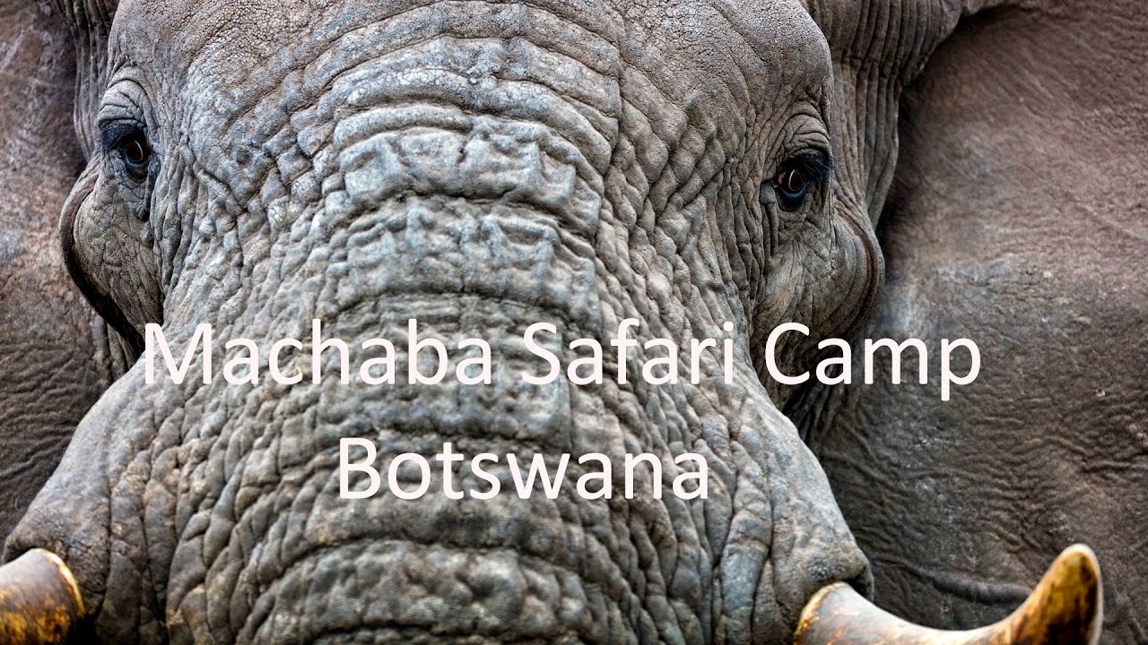 Machaba Classic Safaris
