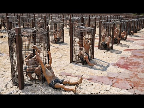 Qaidi Ne Impossible Jail Break kiya ( as my feet will carry me movie explained in Hindi Urdu )