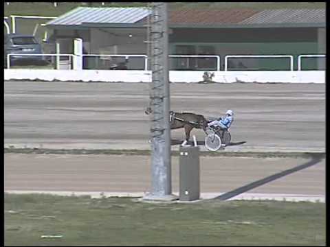 Trotto 01/03/2015 - 1° prova di riqualifica