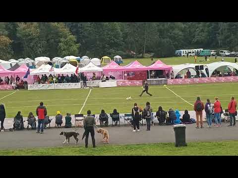 Marco & Pink USDDN WF 2022 Super Open