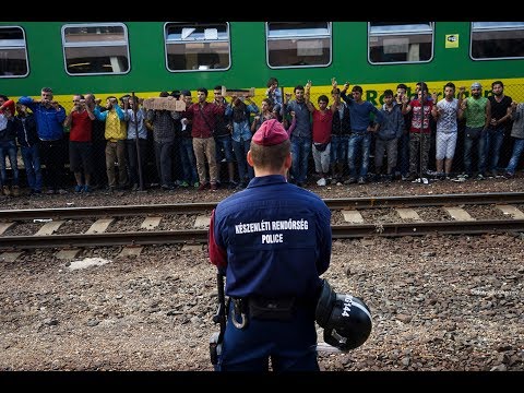 Immigration and Integration: Introduction | FSI