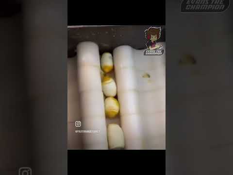 🔴MASACRE DE LIMONES 🌀Parodia Español🌀[ Meme en Español ] #memes #humor #fandub #parody #comedia
