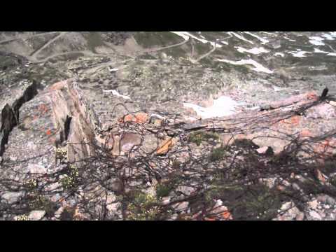 forte malamot   30-06-2012