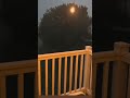 Mera Yar Hash Raha Hai Barish Ki Jaye Song With Nature What S App Status Cgvishushort Shorts Viral