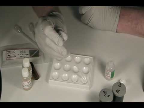 The Home Scientist 003 - Testing Paint for Lead