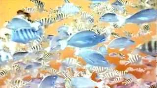 Slow Magic - On Yr Side