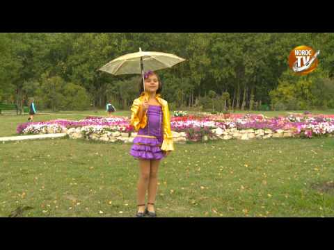 Madalina Scurtu ploita