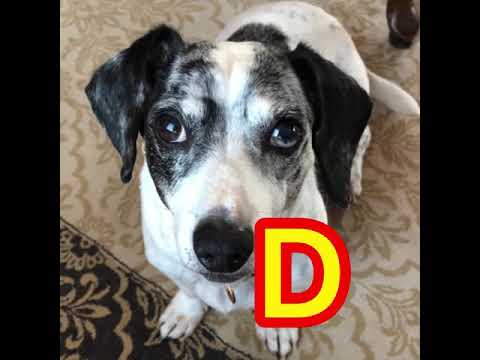 Happy Birthday, DeAnn