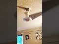 Dangerous ceiling fan situation 😮💥 #ceilingfan #crazy #shorts #electricity