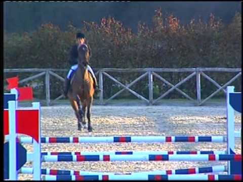 Sonia Cardini Pistoia Equestrian Centre Phoenix