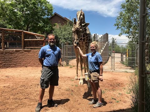 MsiTuesday Update 7/2/2019