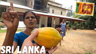 SRI LANKA | This Is HOW THEY TREAT YOU At The Village 🇱🇰