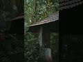 Mazha Malayalam Whatsapp Status Rain Status Video