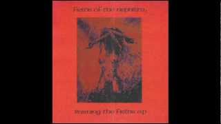 FIELDS OF THE NEPHILIM - Laura