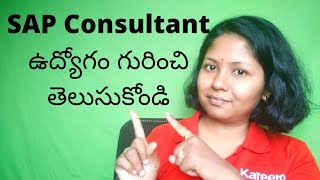 SAP Consultant Job Role & Responsibilities (Telugu)