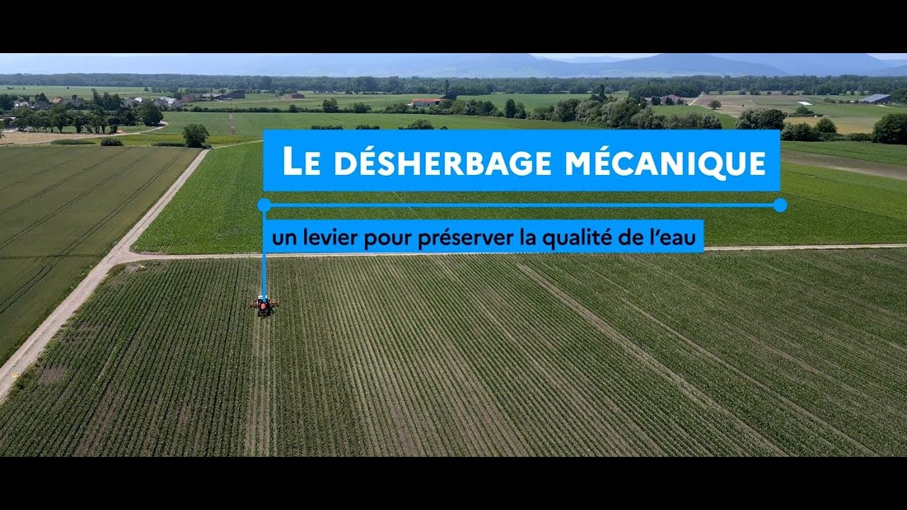 Image d'illustration de la vidéo