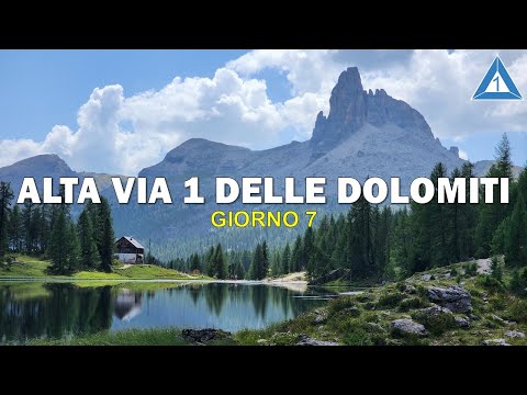ALTA VIA 1 delle DOLOMITI | Settima tappa: CRODA DA LAGO e FORCELLA AMBRIZZOLA [4K]
