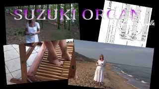 Download lagu Suzuki Organ Teacher Training, summary mp3 Download lagu Suzuki Organ Teacher Training, summary mp3