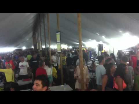 Srbijada 2013 Ludilo