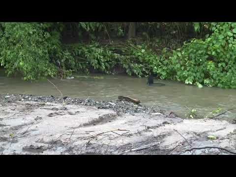 Flash Flood Warnings