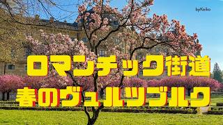 ヴュルツブルクの春！ (Würzburg) 司教館のバロック庭園　ロマンチック街道　世界遺産