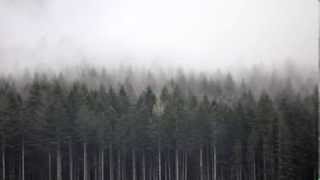 Of Monsters And Men - Silhouettes (with lyric)