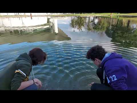 Water Waves - Interference Experiment