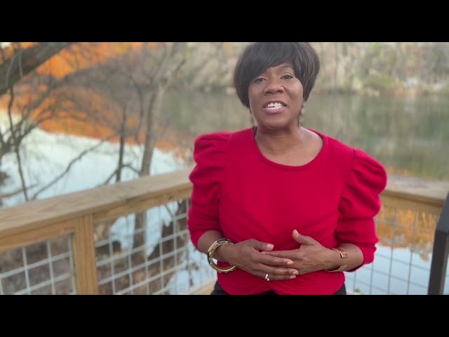 About Passion for Life, Inc.
