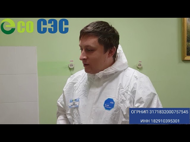 Видео обработки