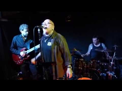 PEACHES & MUSHROOMS play BLUE PACKET - A Lot In Common