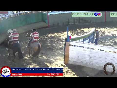 3ra SERIE RODEO CLUB MANUEL RODRIGUEZ CARTAGENA ASOC. VALPARAISO