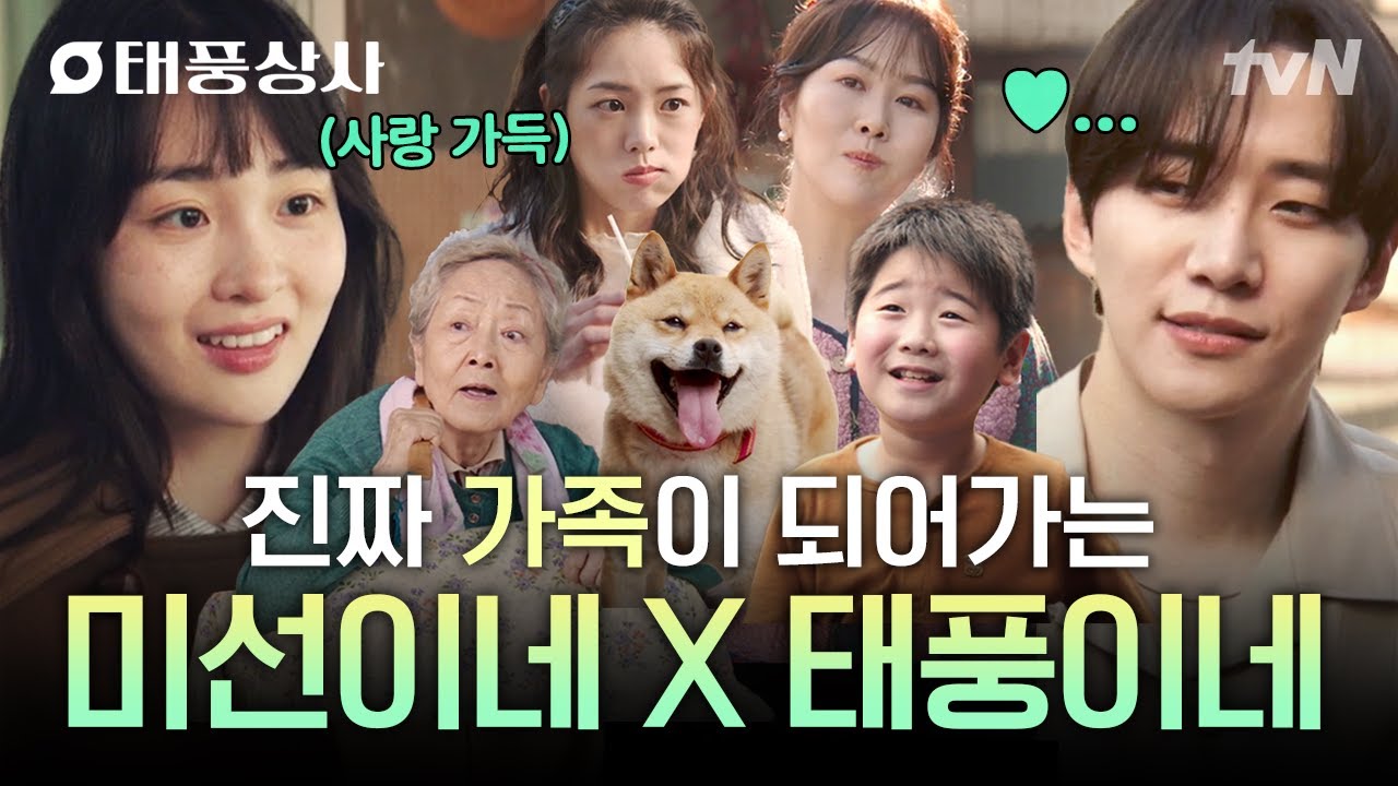 [#태풍상사] 같이 살게 된 미선이네x태풍이네😆 울고 웃으며 진짜 가족이 되어가는 중💞