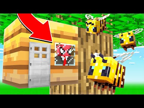 FERİTED VS ARI KOVANI EV 🐝 - Minecraft