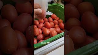#peeling #tomato #canning #freezerhack