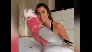 Miniature vidéo