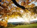 Jean Luc Ponty-Spring Episode