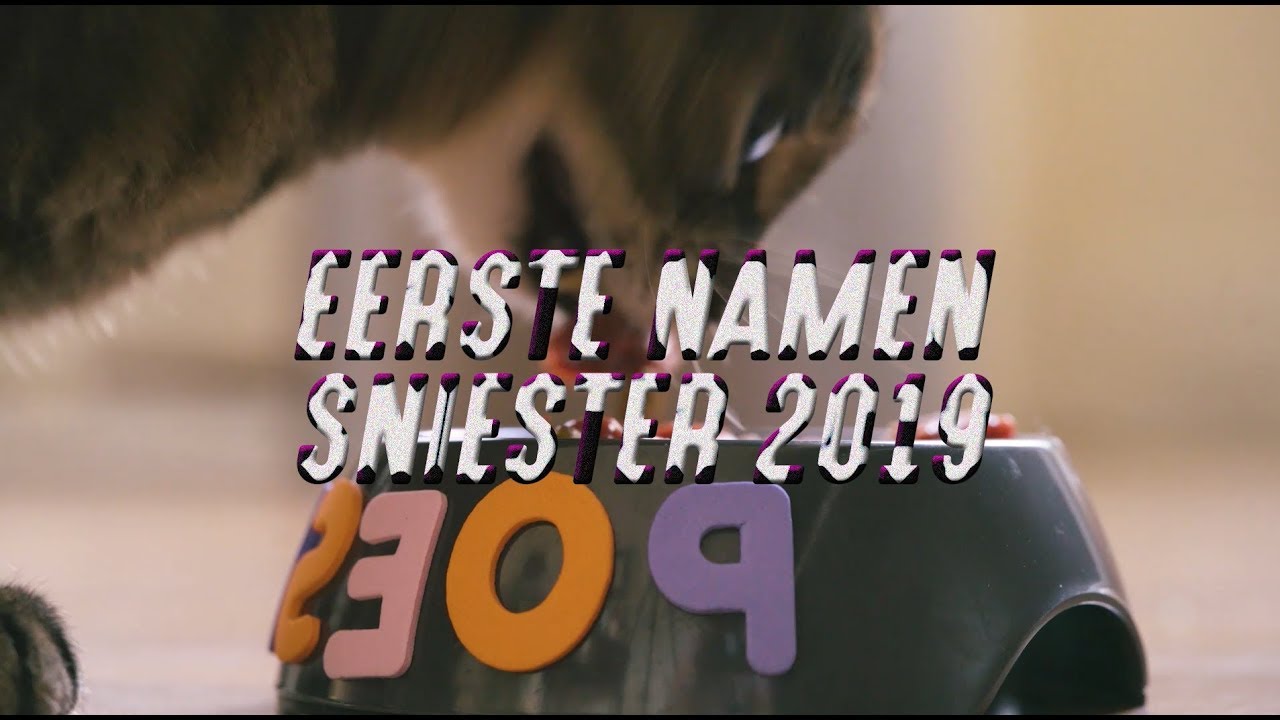 Sniester 2019 | de eerste 30 namen