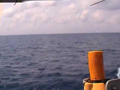 NZ Skyhawk flyby on HMAS Darwin