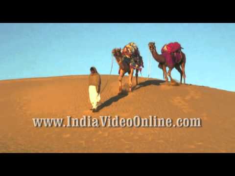 Camel with Rider02, Sand dunes, Jaisalmer