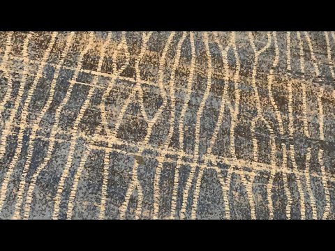 SynthPlex Sun. Tour2