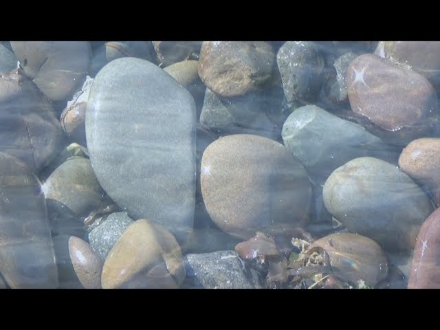 Short movie for duo exhibition in Gallery MLB/ Amsterdam October 2017. Inspired by poem Eb (low tide), of Dutch poet Vasalis Youtube VidGetijdelijk - Tidal - 2017 - by J. Ehlhart - video installationeo