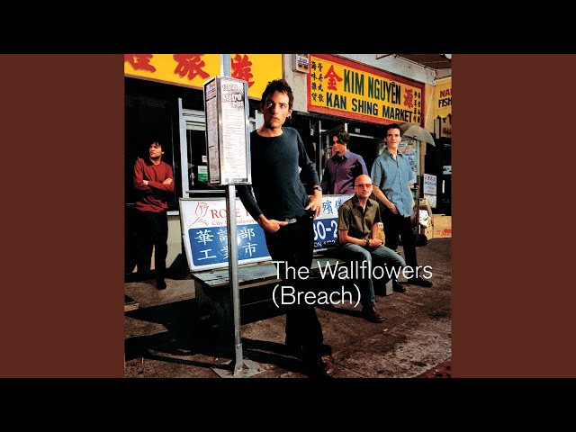The Wallflowers - A Journey Through the Decades