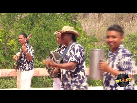 CONJUNTO MAR AZUL - PÁJARO BOBO - D.R.A