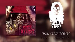 Captain Stark - Audio Stream - DUMPfuckingWEED - Cover Blink 182 - Rock Steady