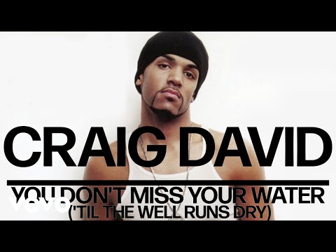 Craig David - You Don't Miss Your Water ('Til the Well Runs Dry) (Official Audio)